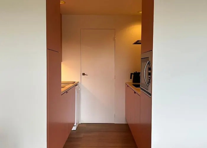 公寓 Sunny With A Beautiful View!